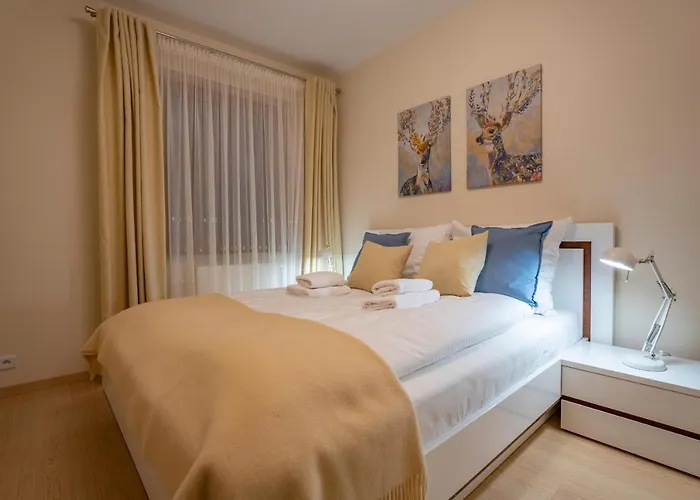 Rentplanet - Szrenica